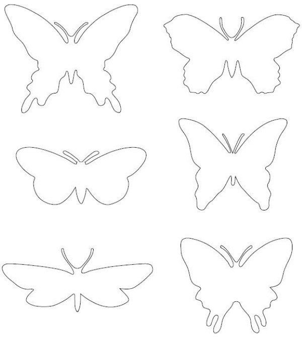 Трафарет бабочки для вырезания