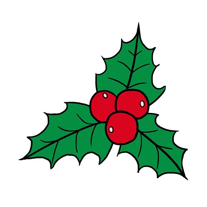 Остролист Рождественский