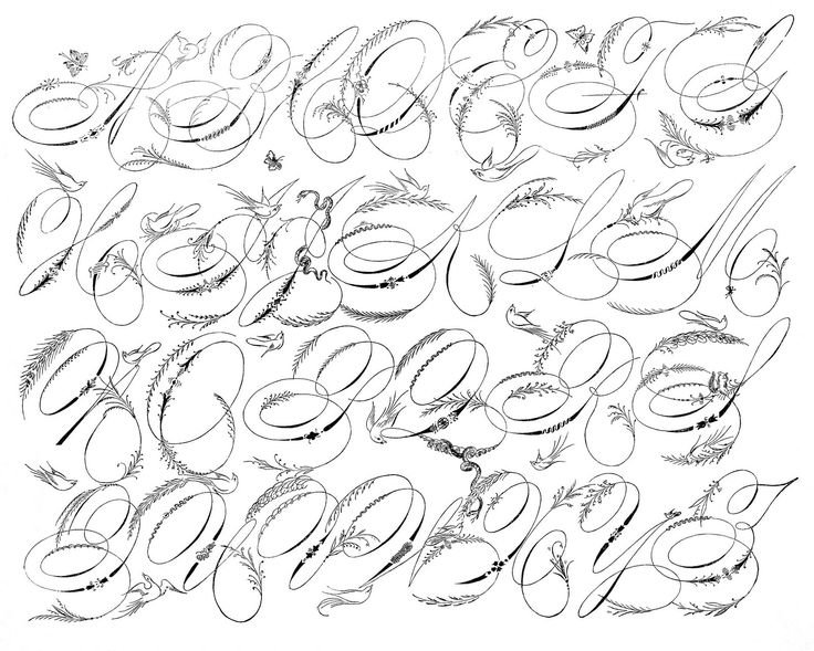 Спенсериан каллиграфия алфавит