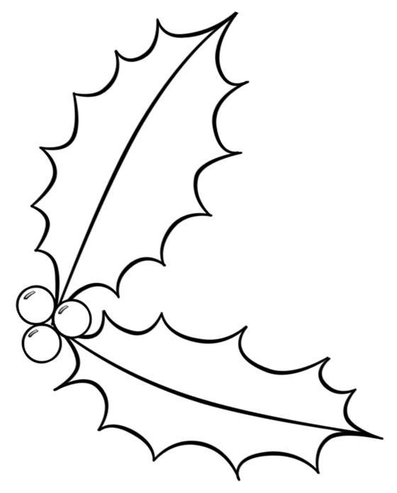 Остролист трафарет