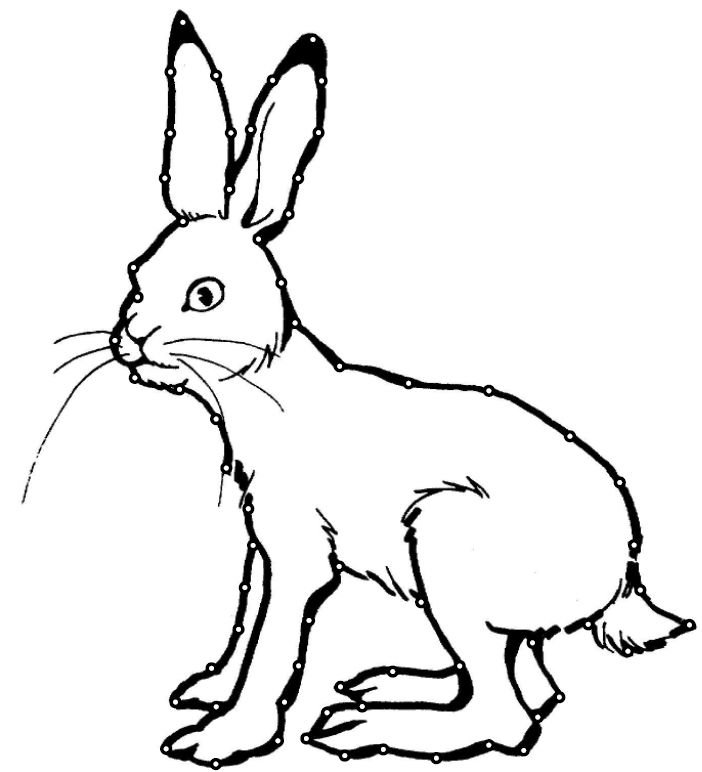 Заяц картинка для детей раскраска