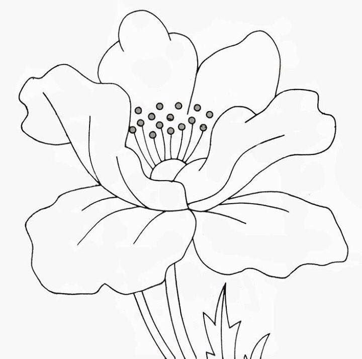 Эскизы цветов для рисования