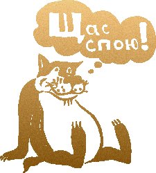 Надпись шо опять