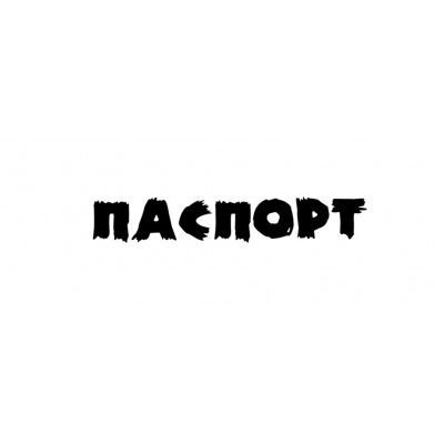 Красивая надпись паспорт