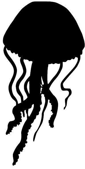 Медуза рисунок