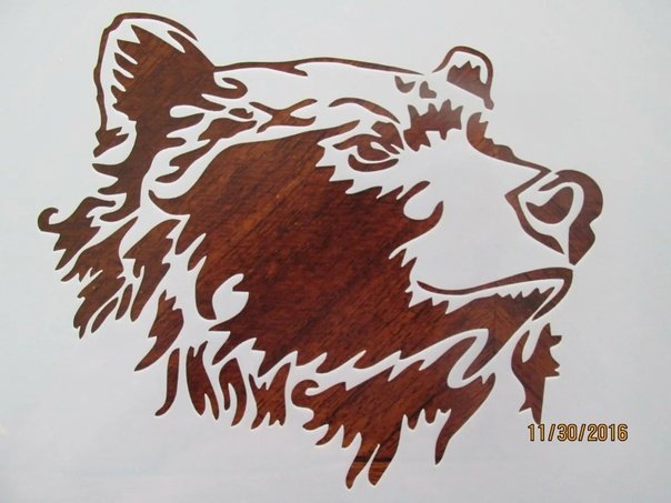 медведь россии