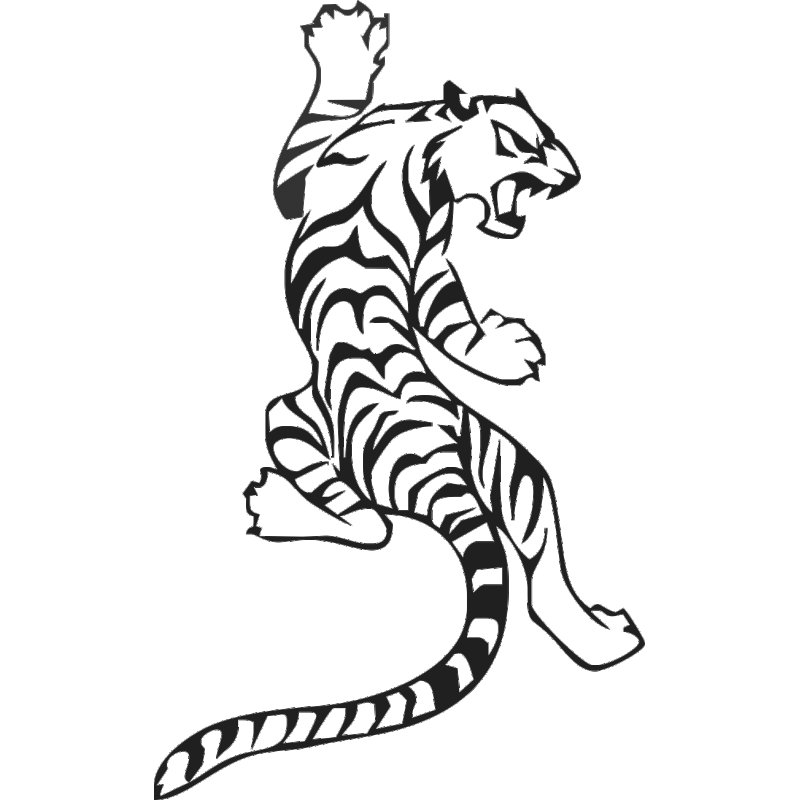 Очертания тигра