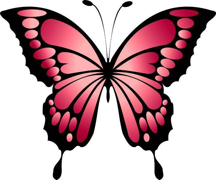 Бабочка рисунок