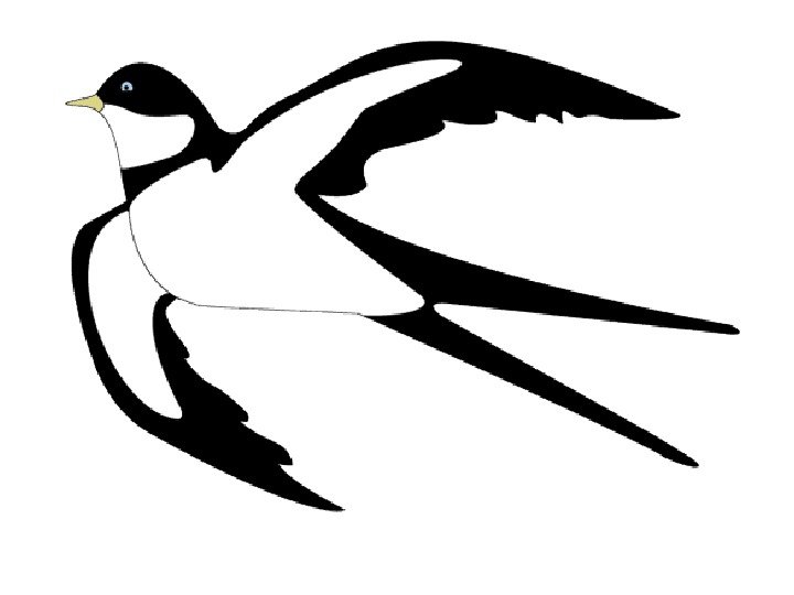 Ласточка для детей