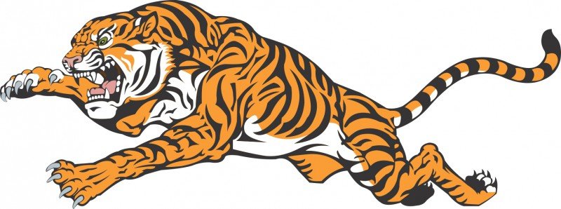 Тигр вектор