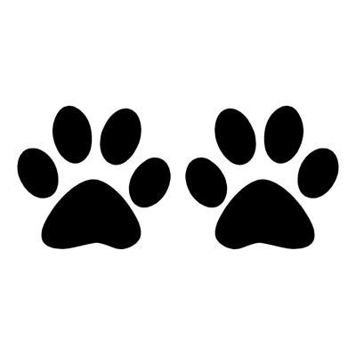 Следы кошки