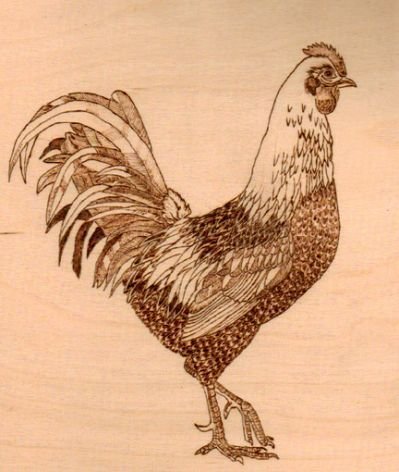 Курица гравюра