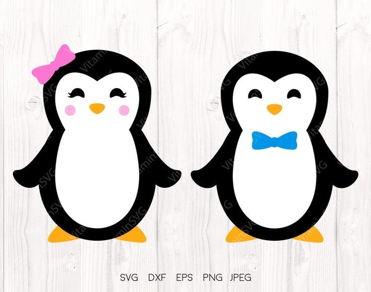 Шаблон пингвина