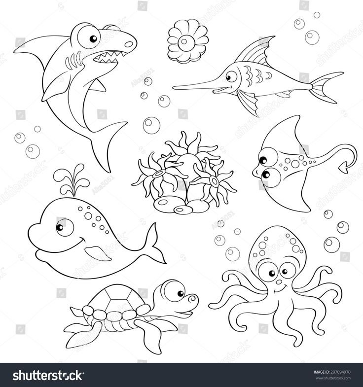 Морские жители раскраска для детей
