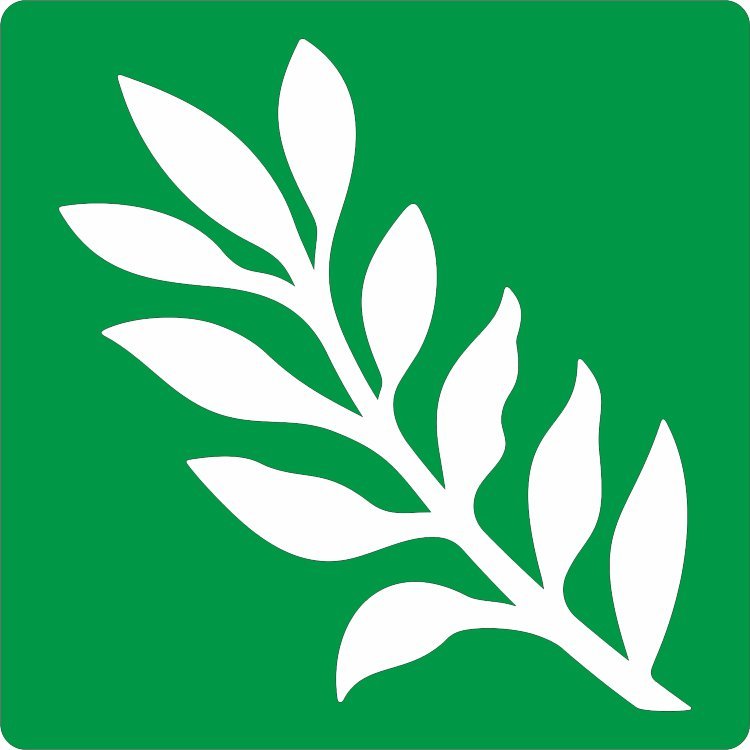 Веточка шаблон