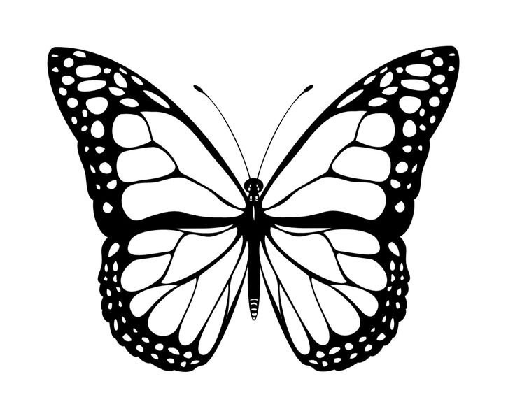 Трафарет бабочки для вырезания