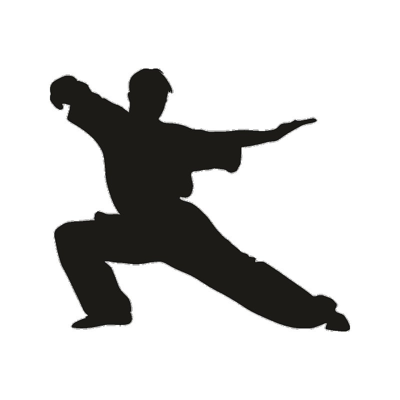 Единоборства силуэт