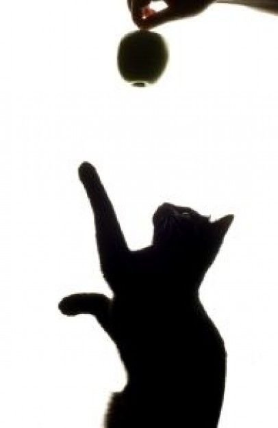 Силуэт кота с поднятой лапой