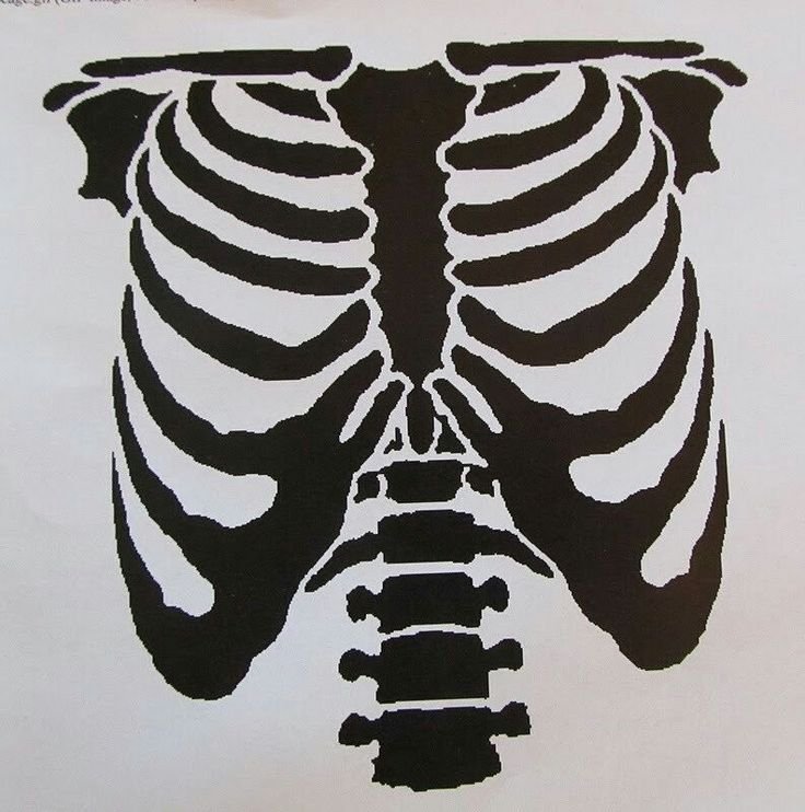 Кости Кощея грудная клетка