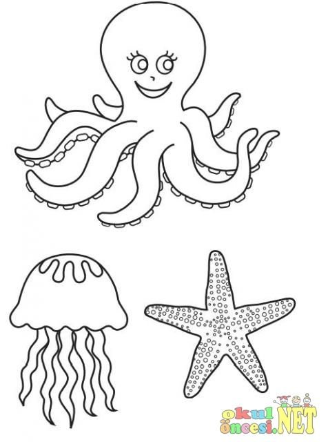 Раскраска морские обитатели