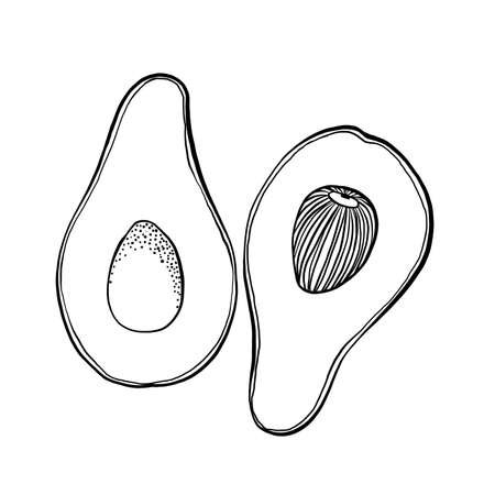 Авокадо контур