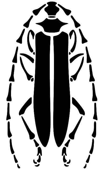 Стилизация жука