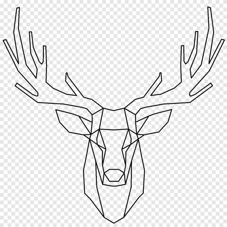 Олень контур