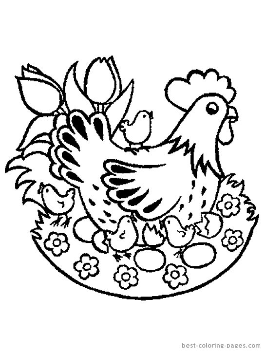 Курочка раскраска для детей