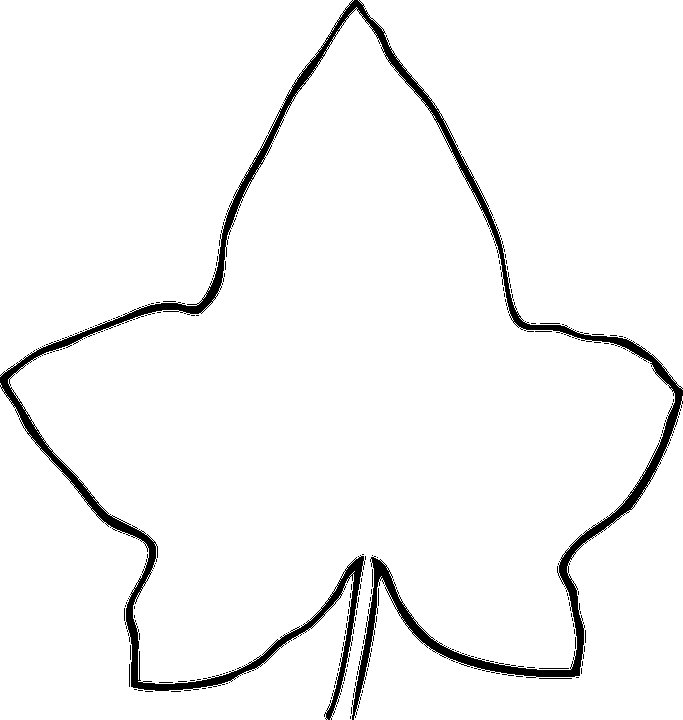 Листья шаблон