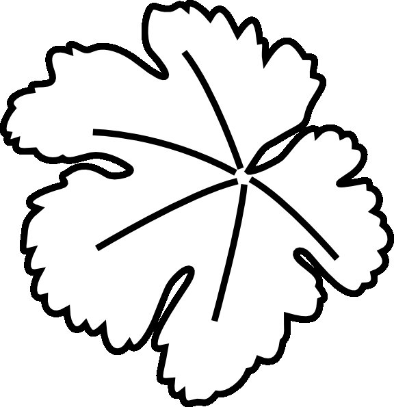 Листья раскраска