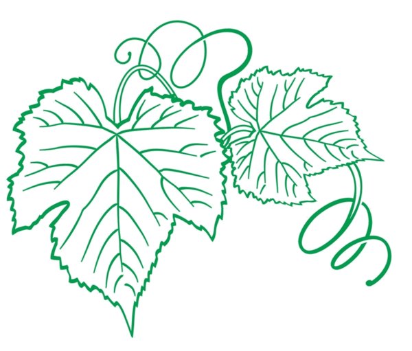 Лист винограда трафарет