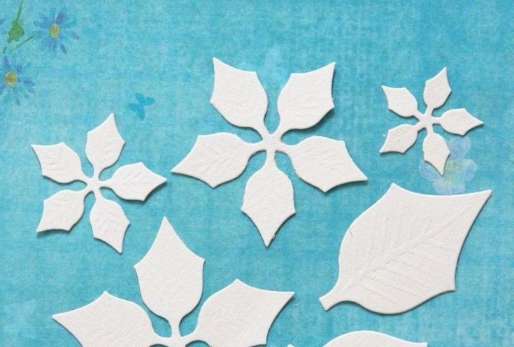 Шаблон пуансетии из фоамирана