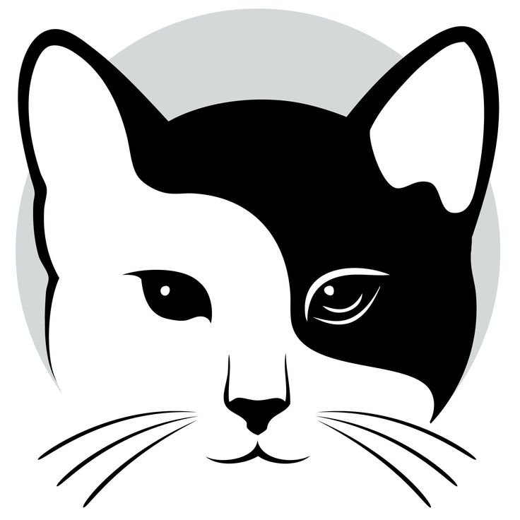Морда кошки вектор