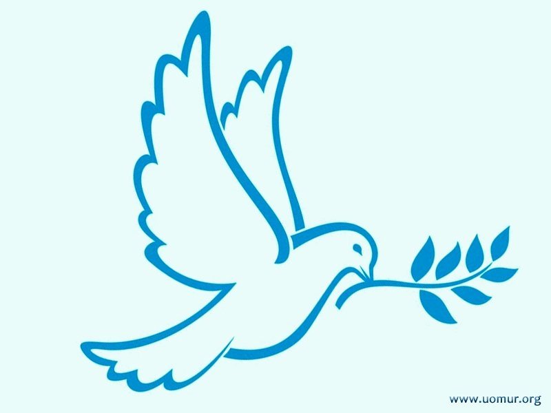 Голубь мира