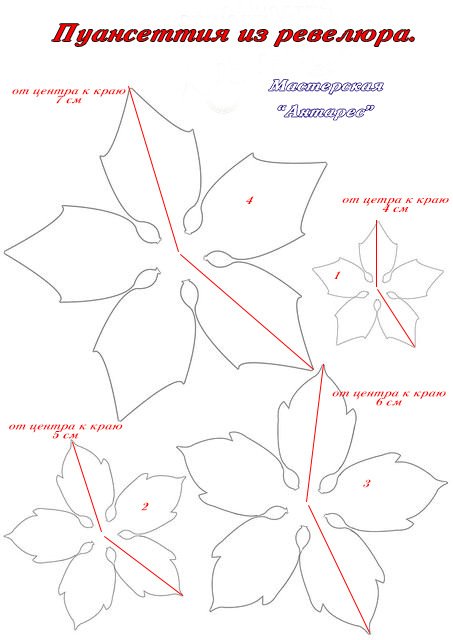 Лекала для пуансетии