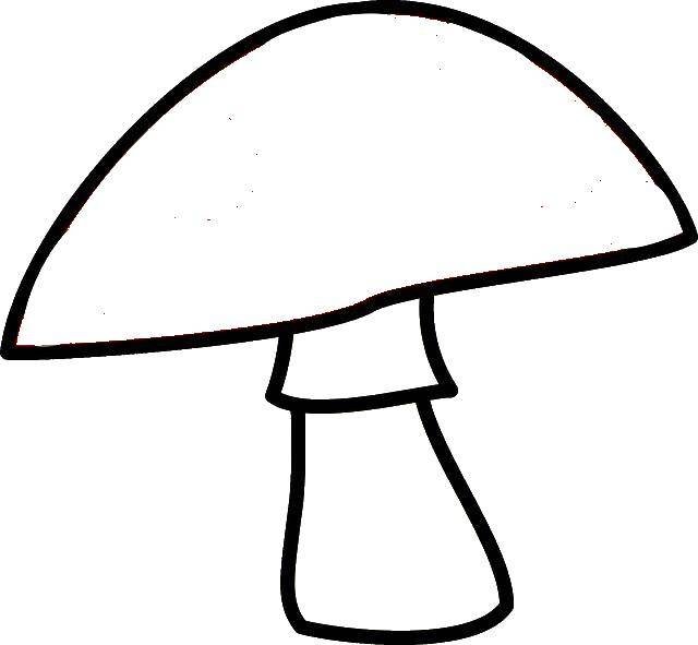 Гриб контур