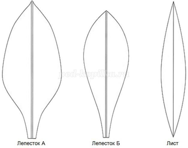 Лепесток цветка