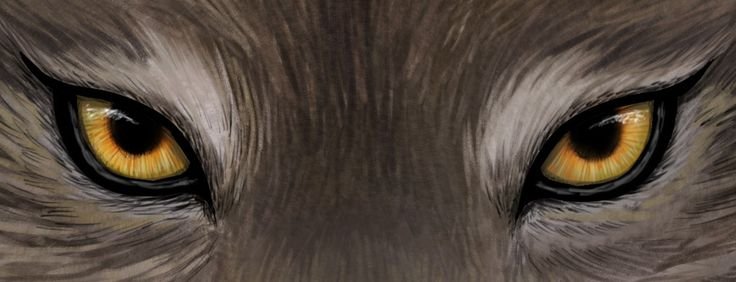 Злые глаза животных