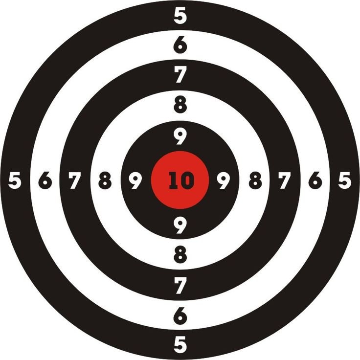 Мишени для пулевой стрельбы 12 калибра