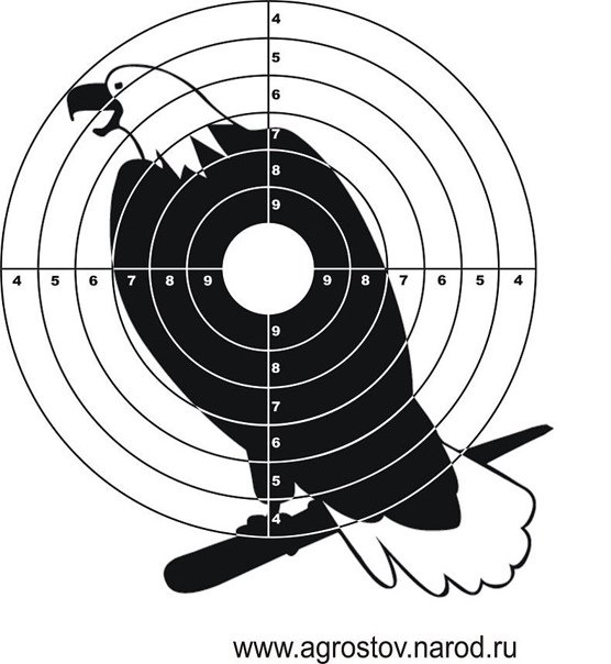 Мишень для воздушки 10 метров а4