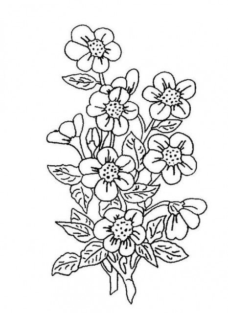 Цветы для вышивания гладью