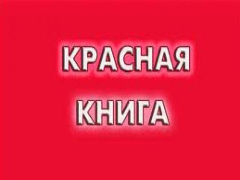 Красная книга России надпись