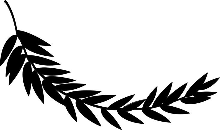 Ветка с листьями