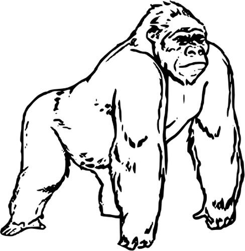 Нарисовать гориллу
