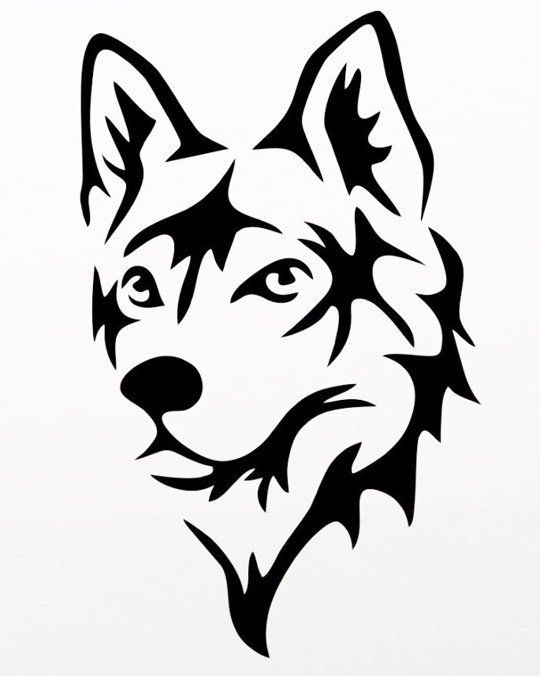 глаза волка