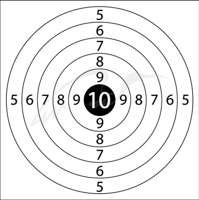 Мишень для воздушки 10 метров а4