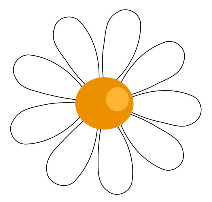 Лепесток ромашки