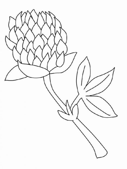 Цветы раскраска для детей