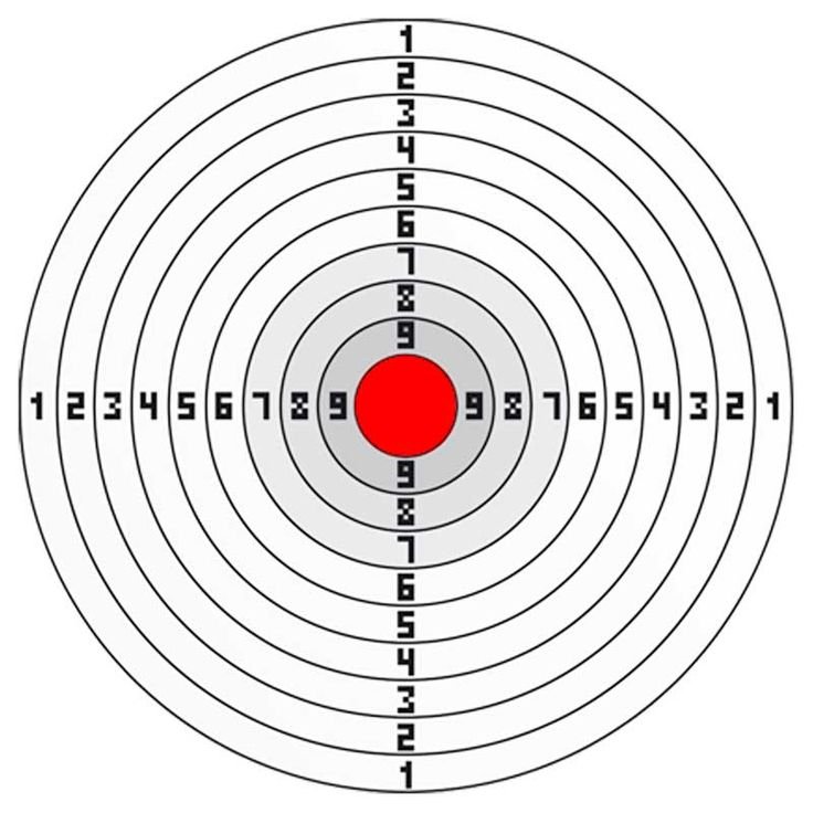 Мишень для пневматической винтовки на 10 метров а4