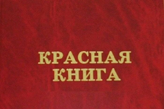 Красная книга